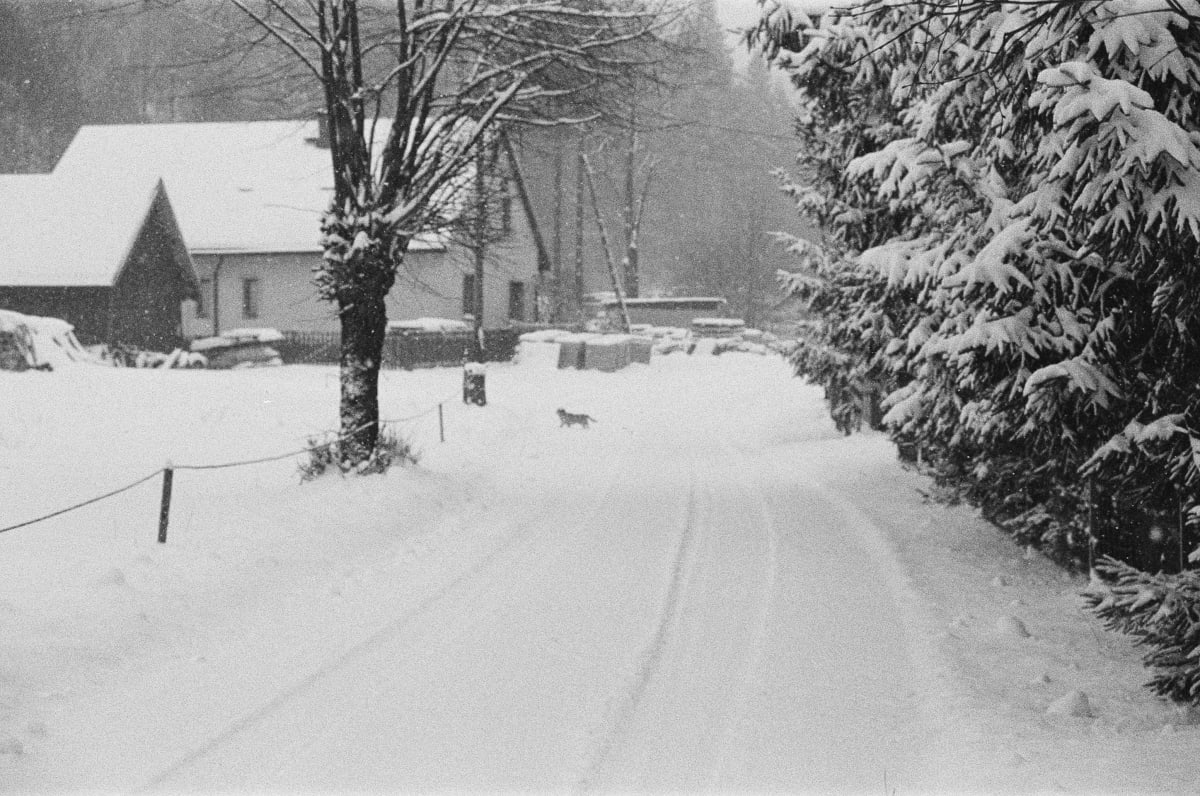 **CLOSED FOR SNOW**ALL LOCATIONS Photo