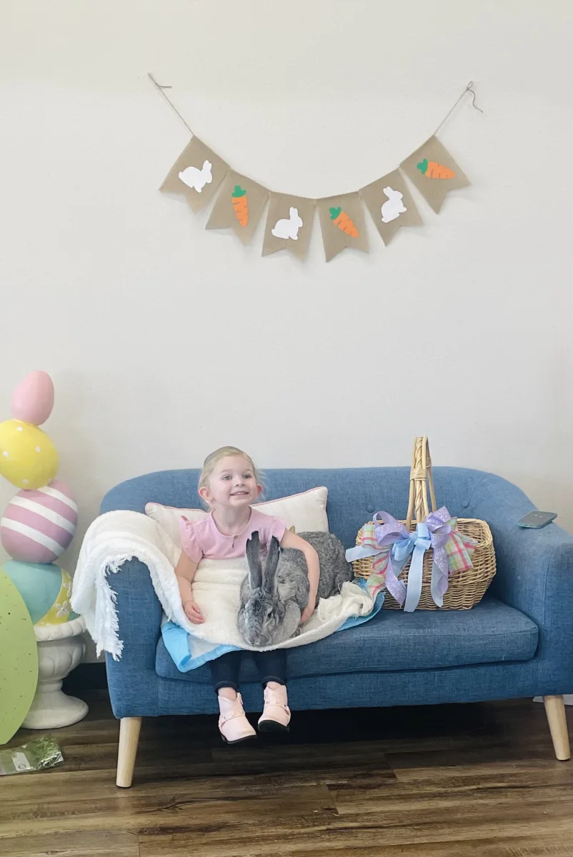 Live Bunnies, Photos & Play Photo