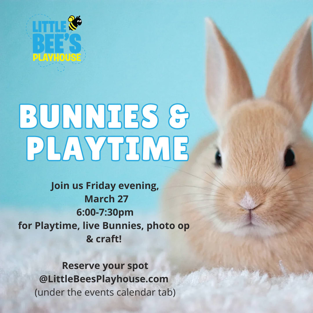 Live Bunnies, Photos & Play Photo