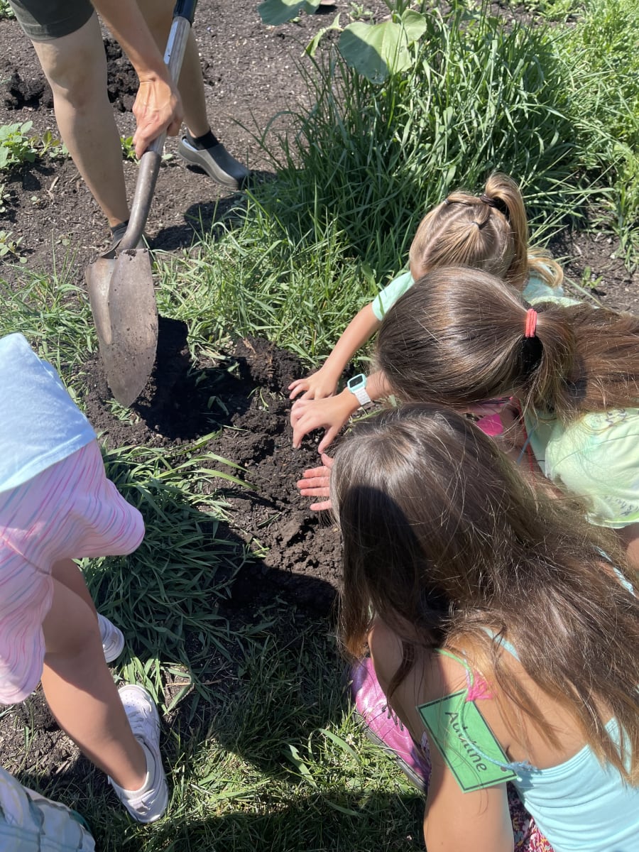 Farm Camp 4 (Ages 5-10) Wings, Wiggles and Wildflowers Photo