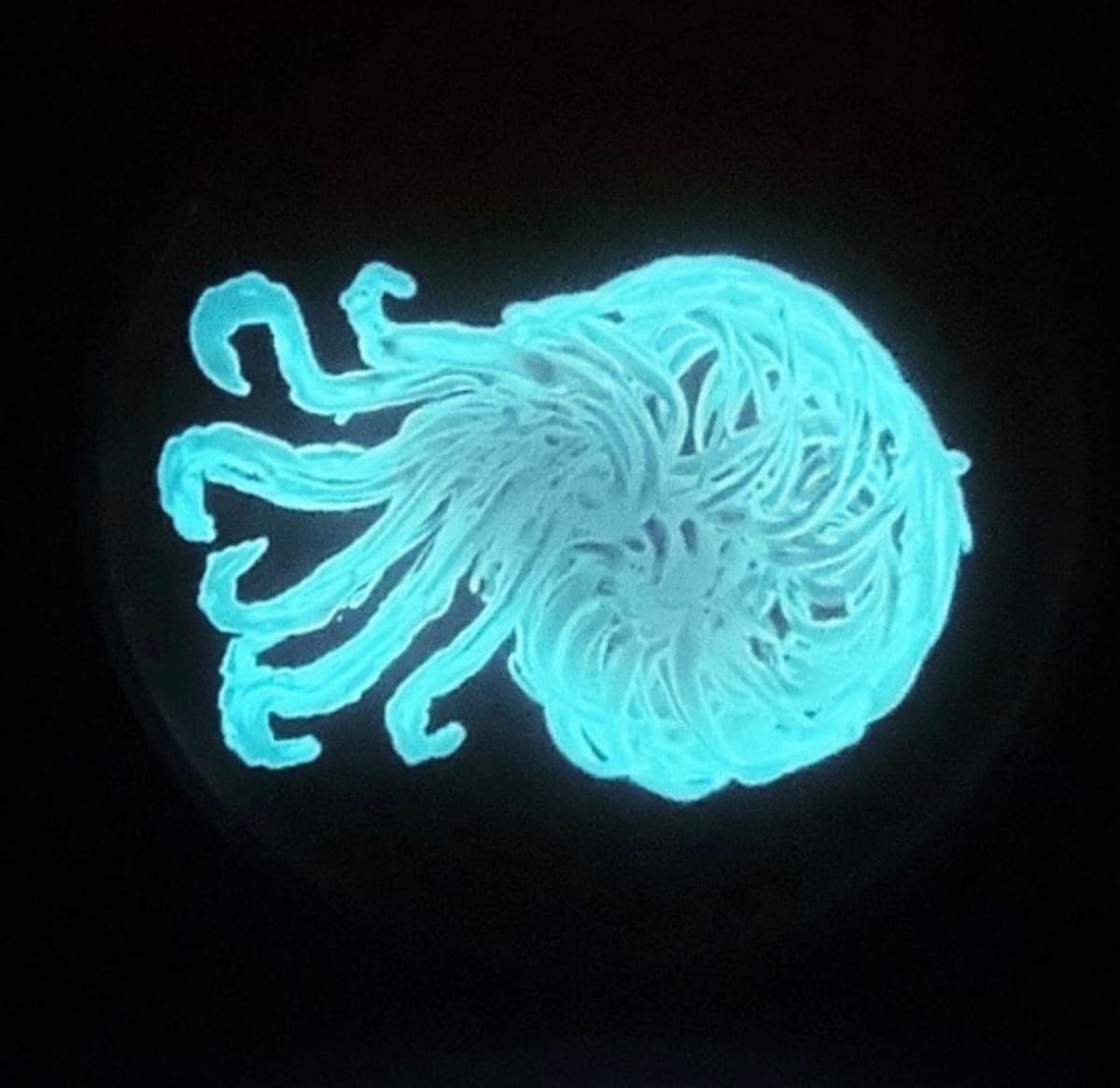 Glow Lab: Painting with Bioluminescence at That Creative Space in Beacon, NY Photo