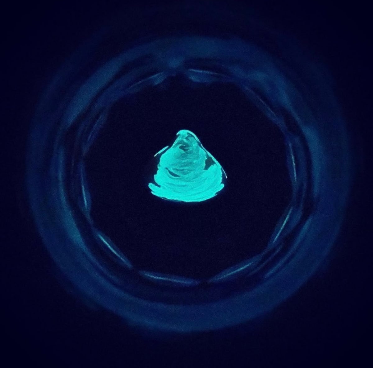 Glow Lab: Painting with Bioluminescence at That Creative Space in Beacon, NY Photo