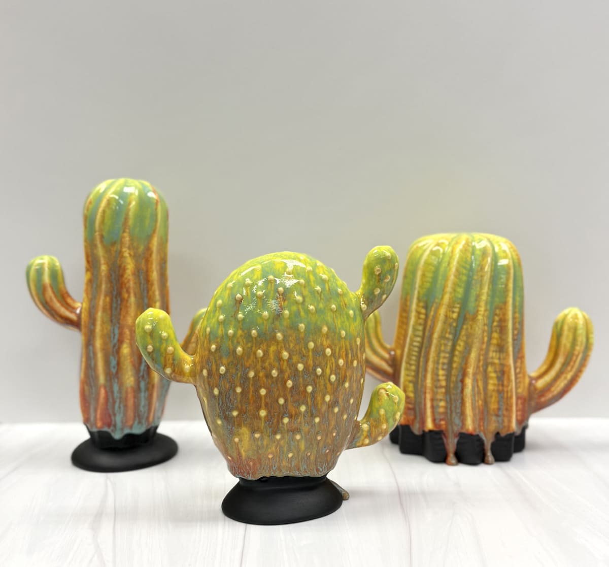 "Painted Desert", Stoneware Cactus Workshop Photo