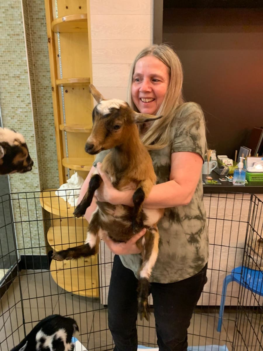 Goats & Pottery | March 28th 1-2:45pm ╰૮₍ •\ꈊ/• ₎ა╯ Photo