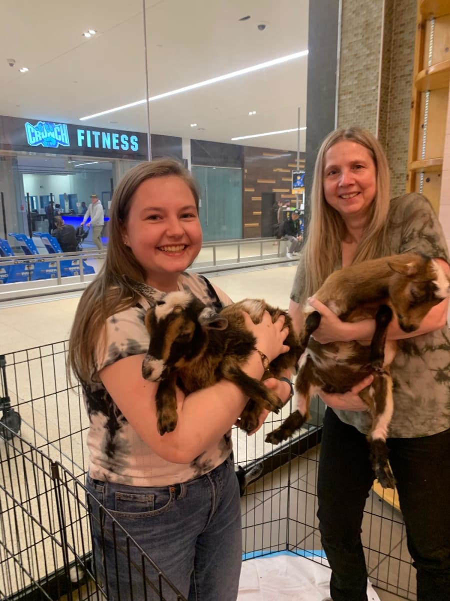 Goats & Pottery | March 28th 1-2:45pm ╰૮₍ •\ꈊ/• ₎ა╯ Photo