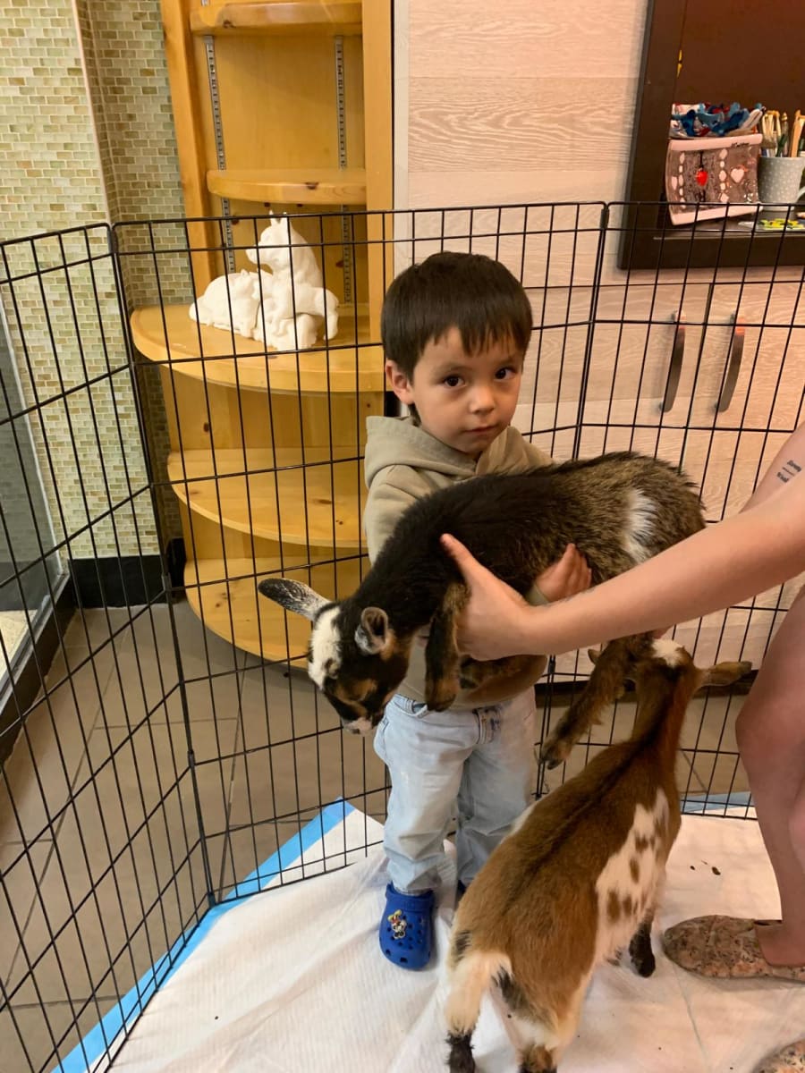 Goats & Pottery | March 28th 1-2:45pm ╰૮₍ •\ꈊ/• ₎ა╯ Photo