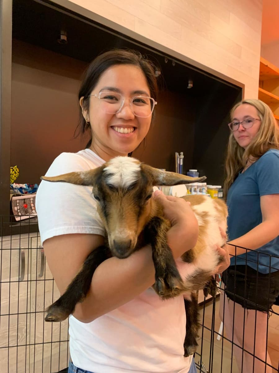 Goats & Pottery | March 28th 1-2:45pm ╰૮₍ •\ꈊ/• ₎ა╯ Photo