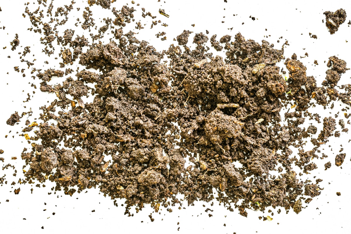 German Filet Mignon Medallions & Spaetzle $100.00+fees [Amityville] Photo