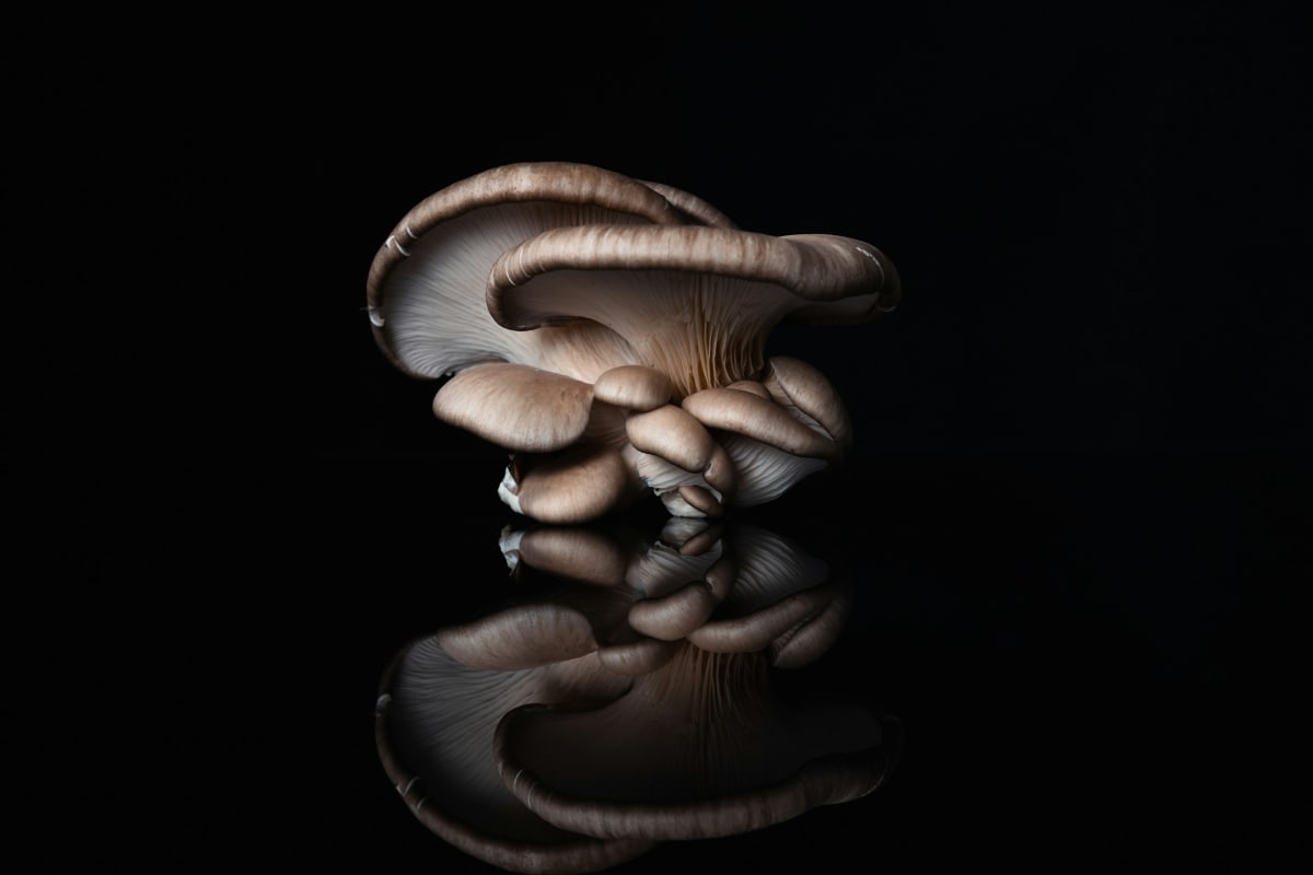 Chicken Marsala, Rice Pilaf, Salad $125.00 per person [all fees & taxes included] - (2026) Photo