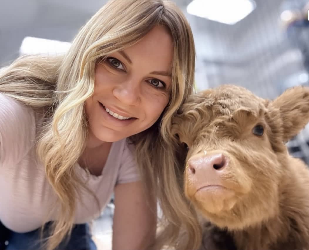 Paint with a Mini Highland Cow 🐮𝓜𝓸𝓸❤️ Photo