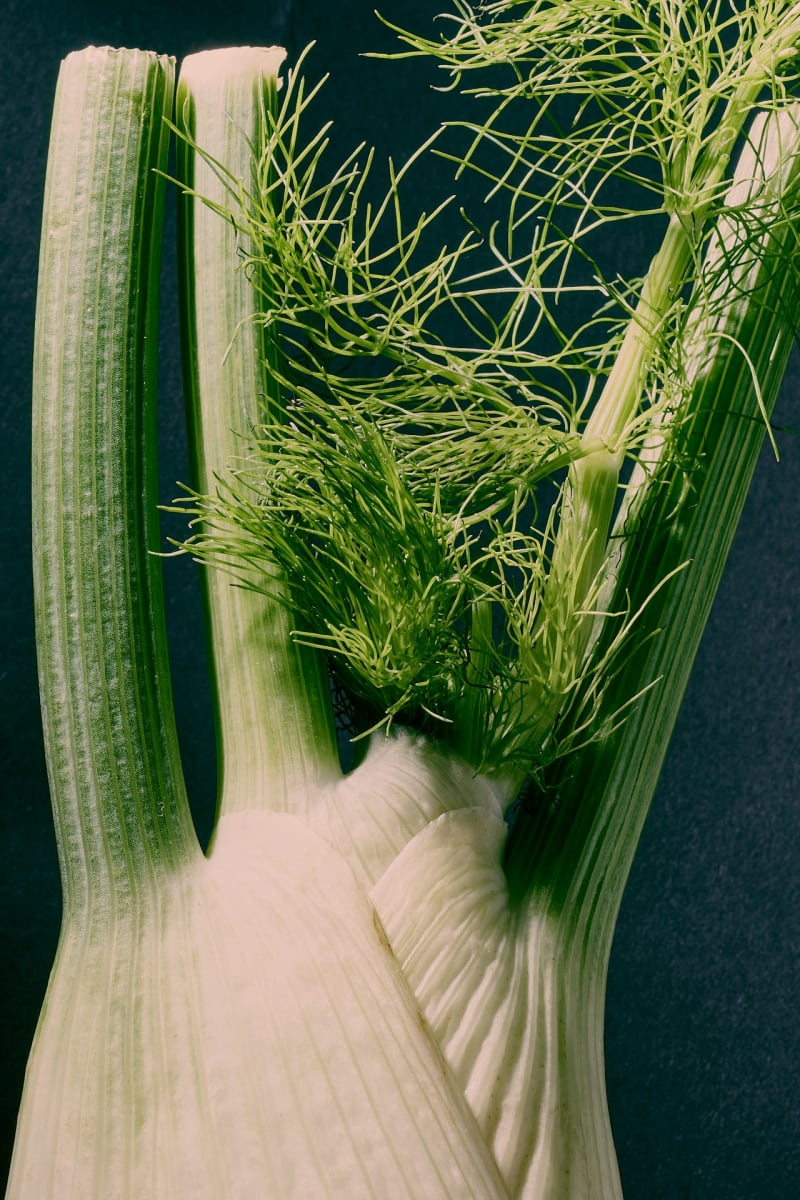 Chicken Cacciatore, Cheesy Risotto, Fennel Salad -$100.00 [Mineola] Photo