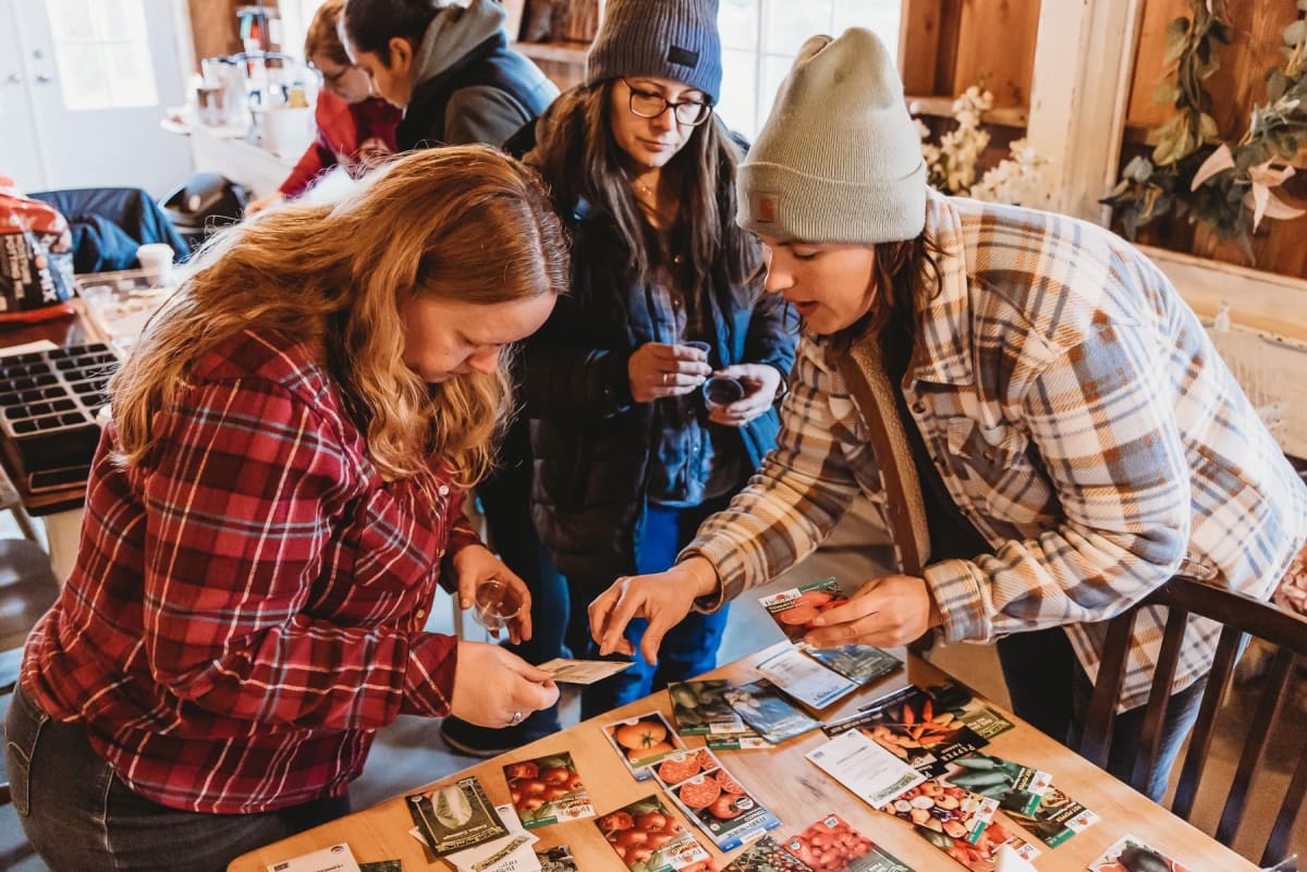 Seed Starting 101- Batavia Photo