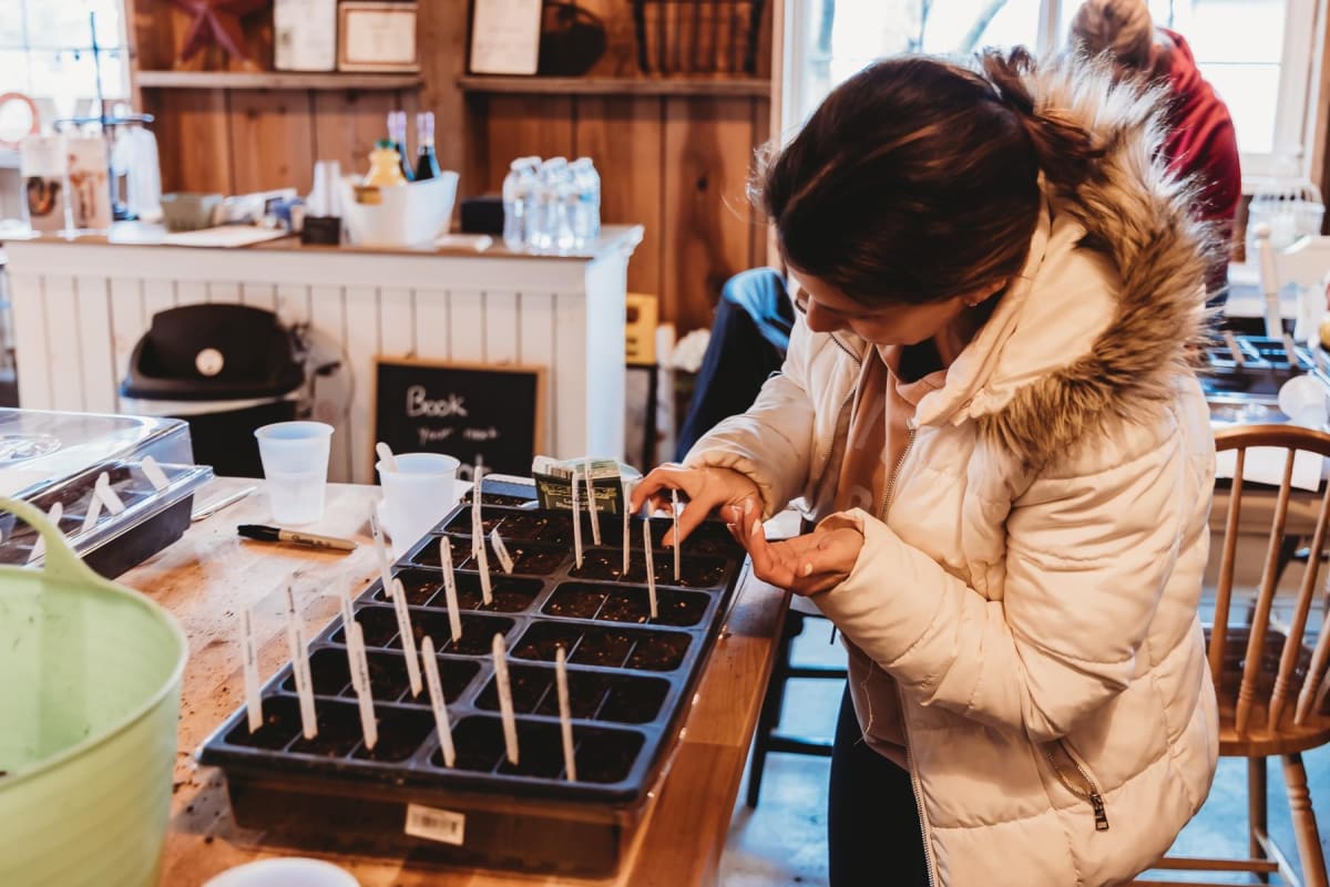 Seed Starting 101- Batavia Photo