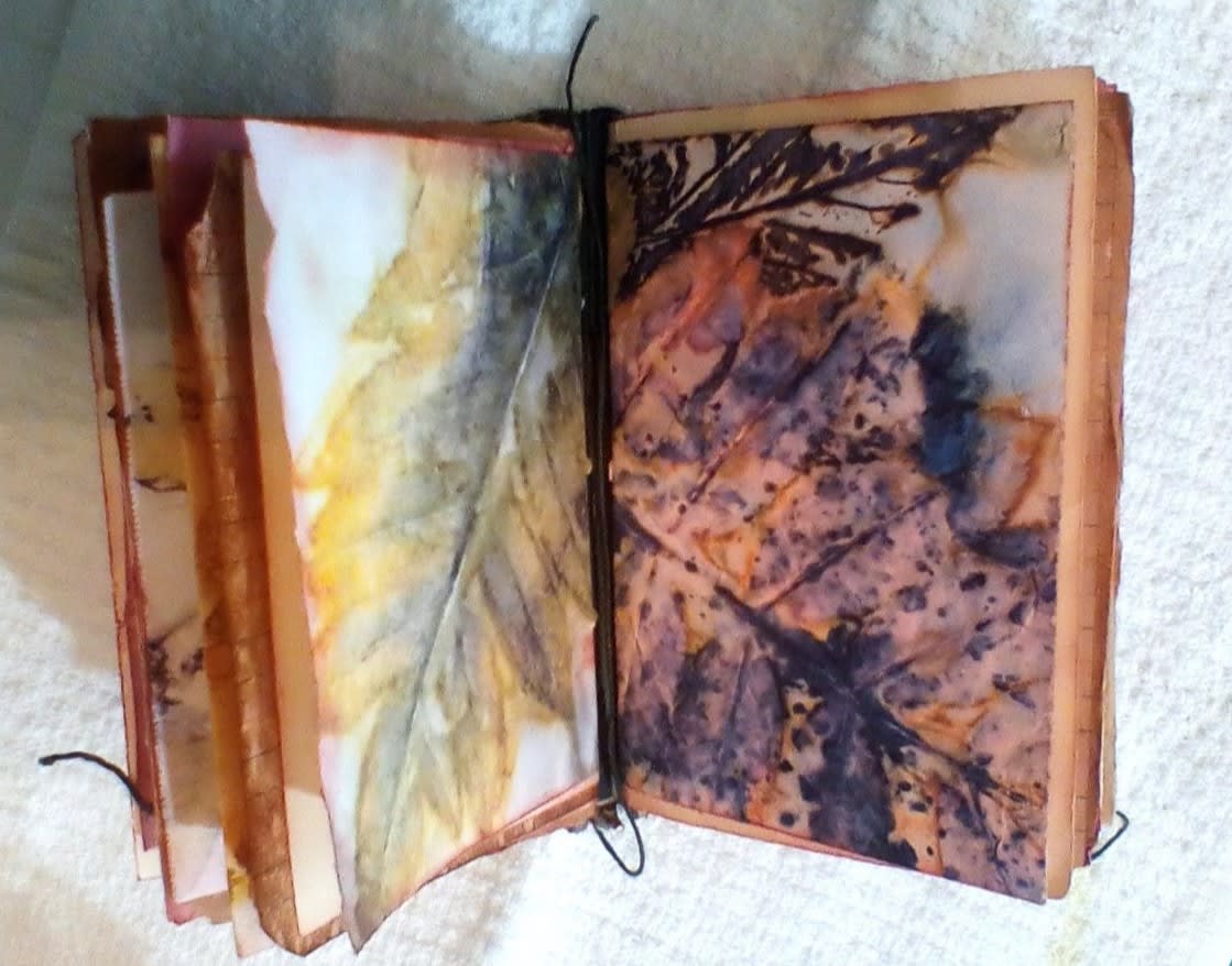 2026 Vitality Arts Adults Art Camp Mixed Media - Nature Inspired: 7/13 - 7/17, 9:30AM - 12:00PM Photo