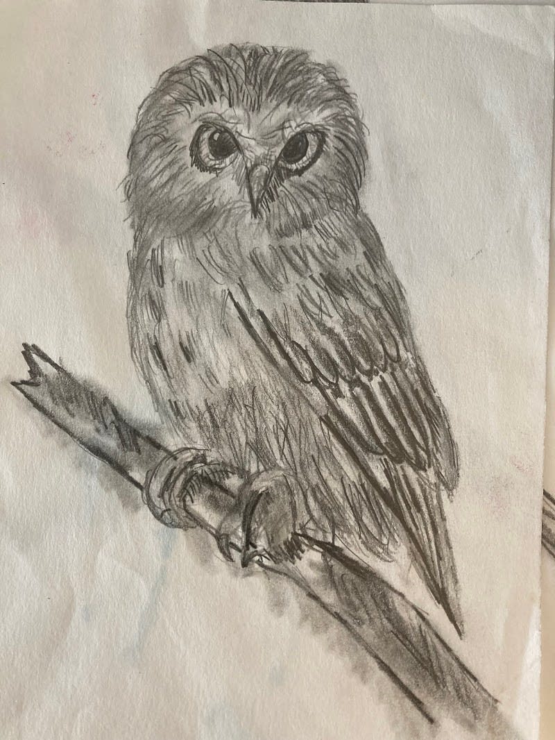 2026 Summer Camp Animal Drawing (Ages 5-9): 7/6 - 7/10, 9:00AM - 12:00PM Photo