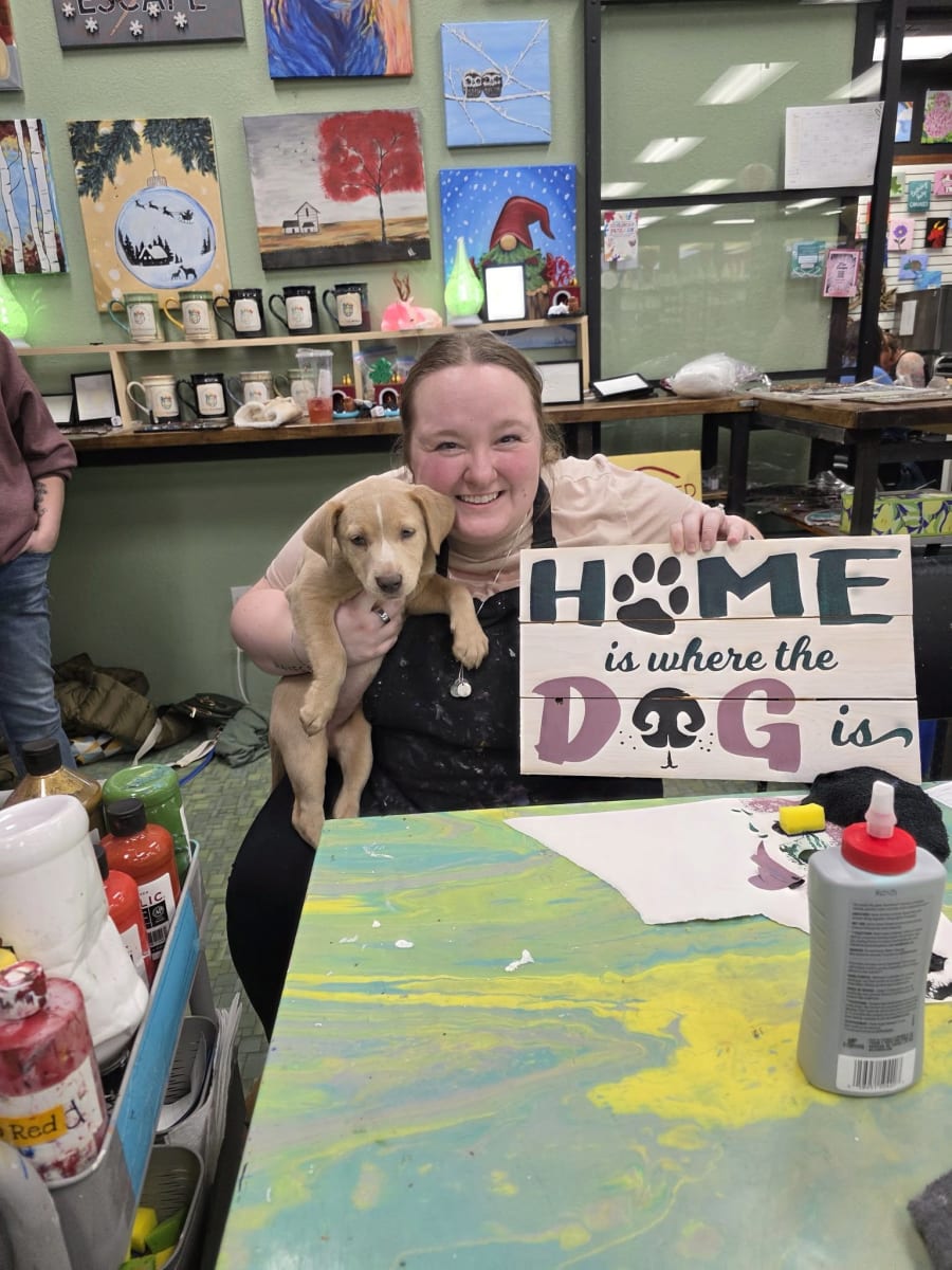 Paint with Puppies - Fundraiser - Our Pack Animal Rescue Photo