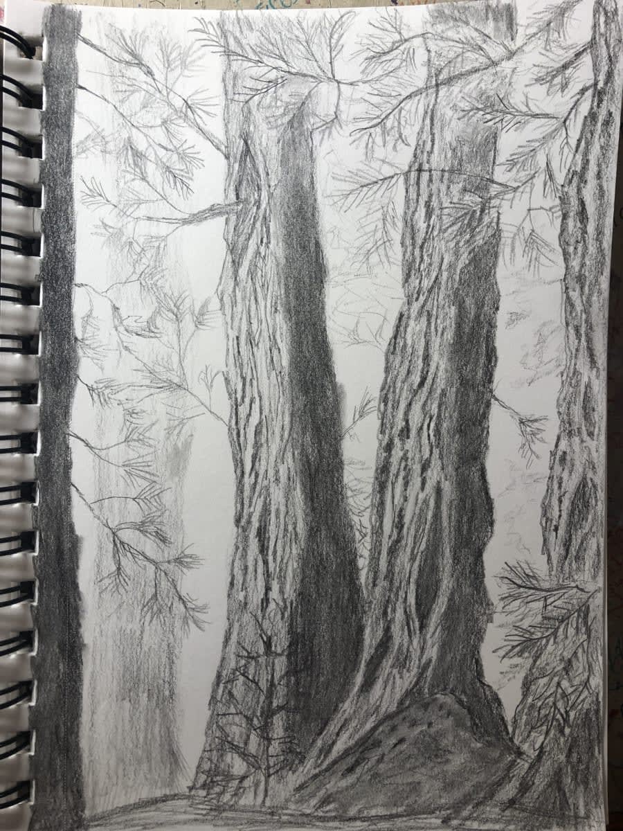 2026 Vitality Arts Adults Art Camp Nature Sketchbook: 7/13 - 7/17, 9:30AM - 12:00PM Photo