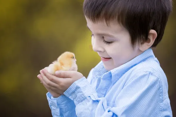 Paint with Bunnies & Chicks! Photo