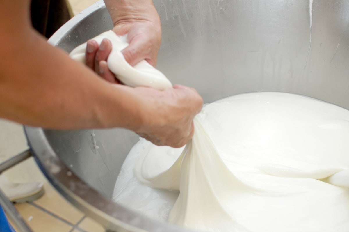 Fresh Mozzarella & Burrata $125.00 per person [booking fees & taxes included] - (2026) Photo
