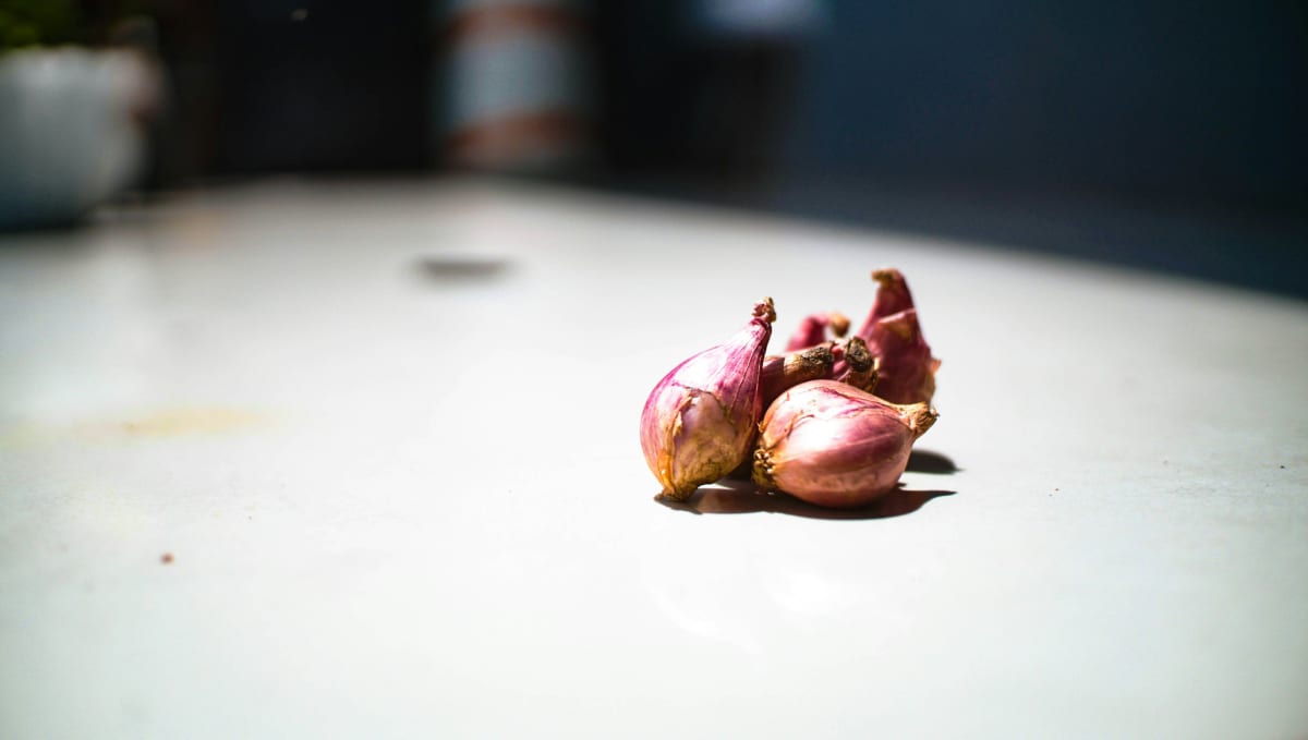 Chicken Marsala, Rice Pilaf, Salad $125.00 per person [all fees & taxes included] - (2026) Photo