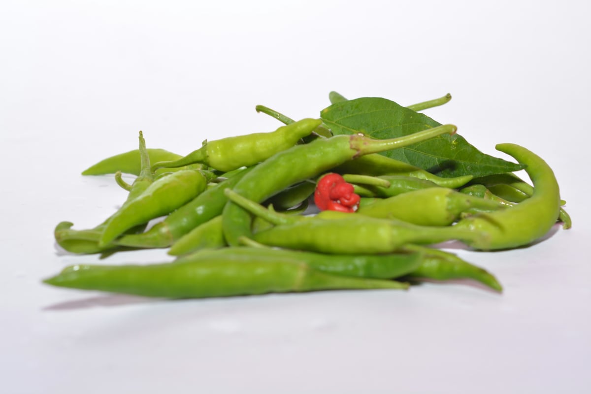 Paella  Valenciana $125.00 per person [all fees & taxes included] - (2026) Photo