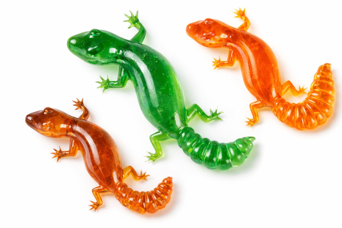 Lounging Lizard Summer Camp (age 8+) Photo
