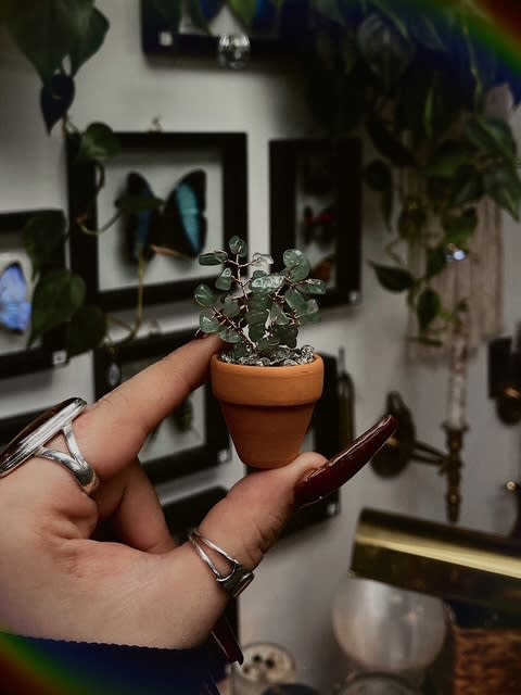 Crystal Plant Workshop  (Ages 8 and up) - 1.5 Hours Photo