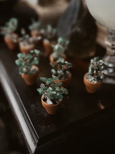 Crystal Plant Workshop  (Ages 8 and up) - 1.5 Hours Photo