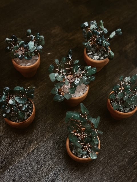 Crystal Plant Workshop  (Ages 8 and up) - 1.5 Hours Photo