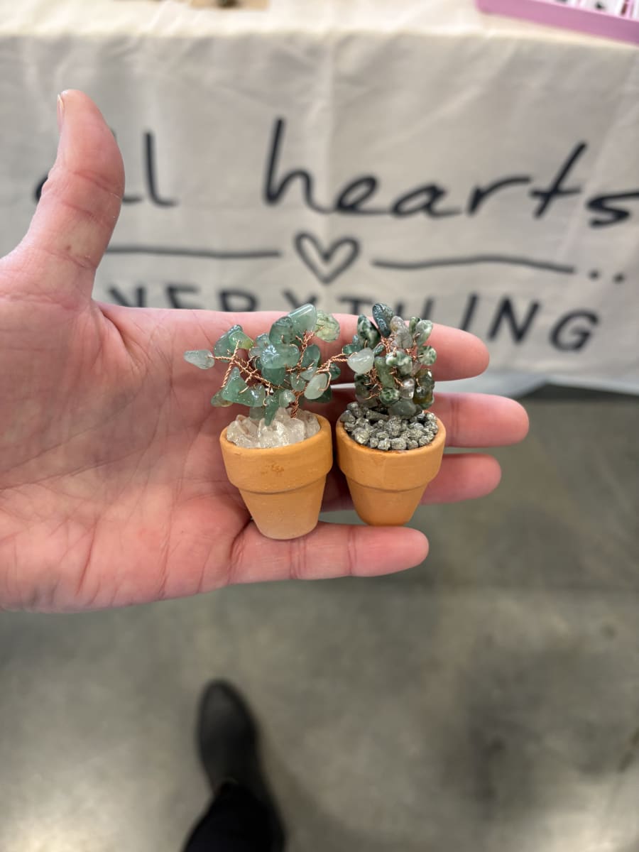 Crystal Plant Workshop  (Ages 8 and up) - 1.5 Hours Photo