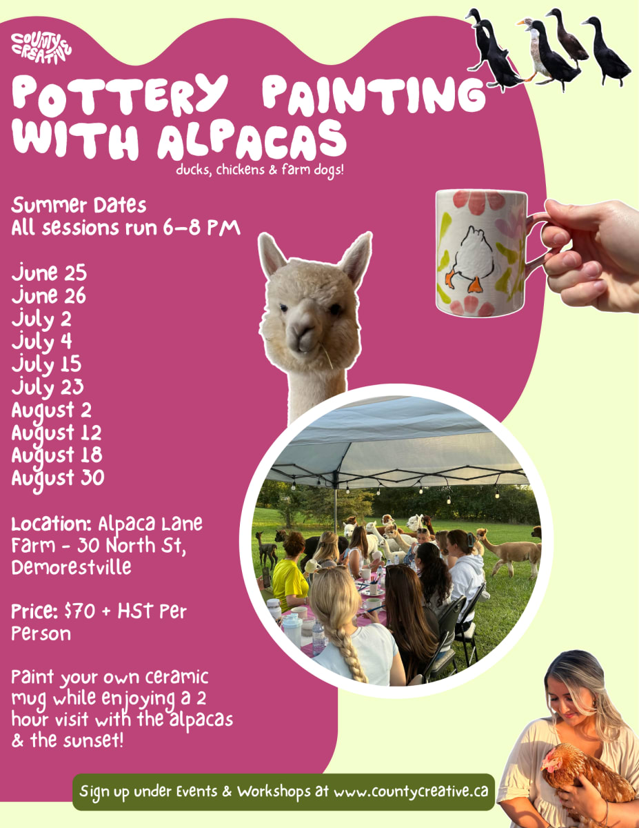 Pottery Painting with Alpacas - SUMMER DATES NOW LIVE! Photo
