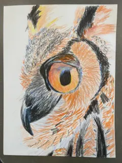 Kids Summer Camp 2-Day Animals in Colored Pencil Photo