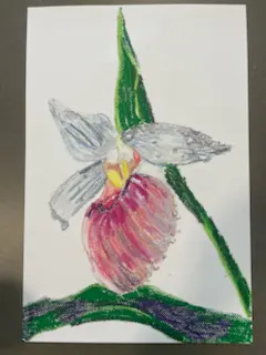 Kids Summer Camp 2-Day Minnesota Nature Drawing Photo