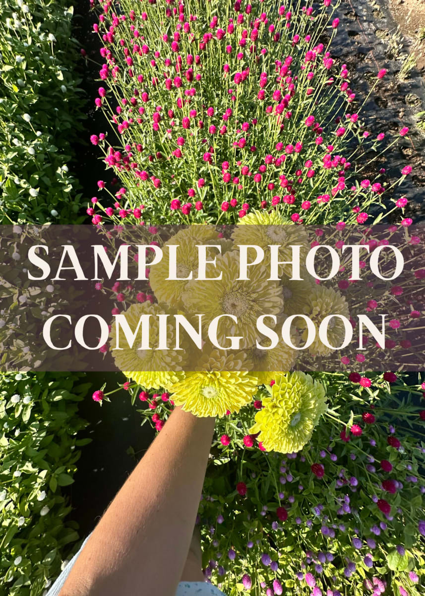 Compote Arrangements Photo