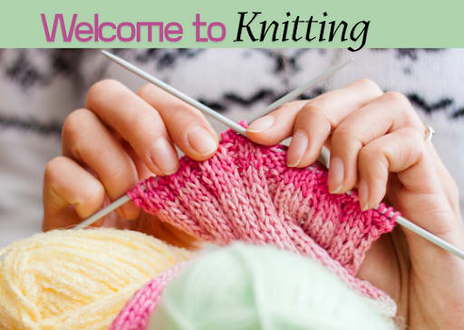 Beginning Knitting with Mikki Photo