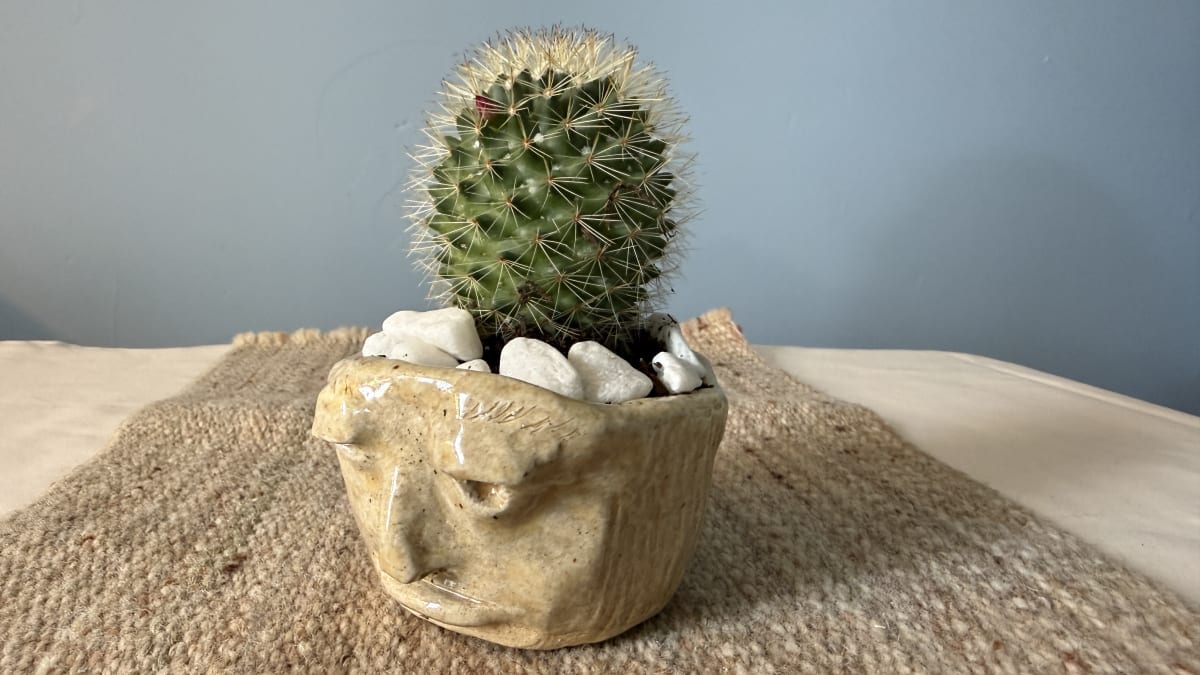 In the Mud Room with Ginger - Pinch Pot Succulent Planter I I Photo