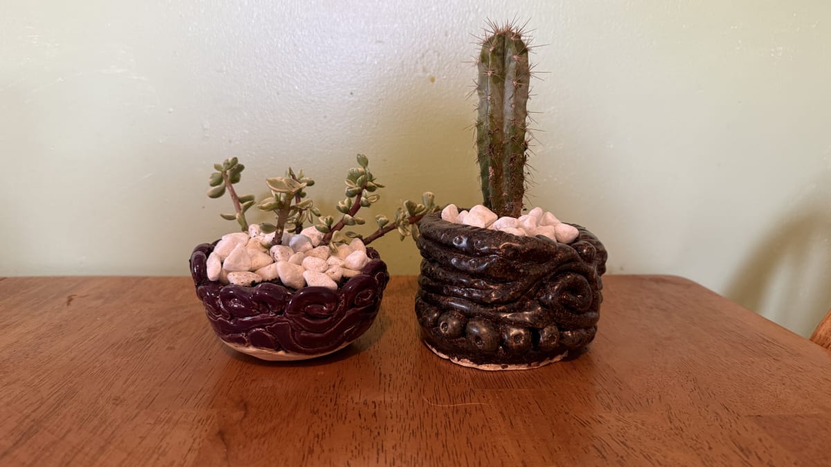 In the Mud Room with Ginger - Coil  Succulent Planter Photo
