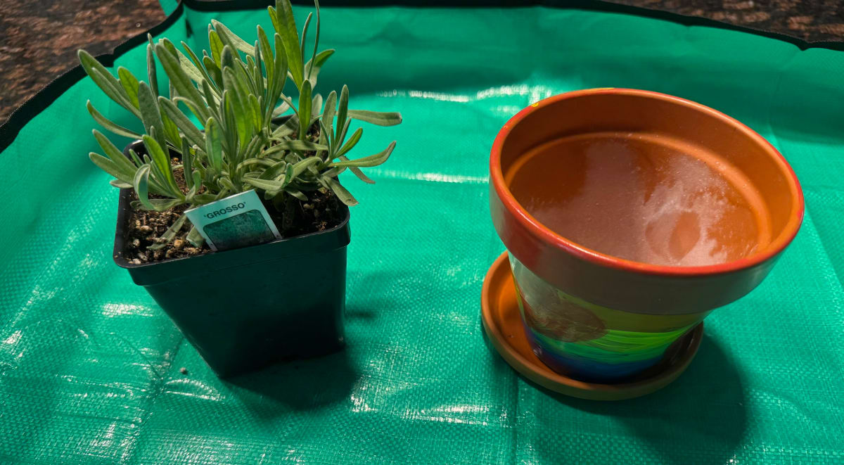 Mother’s Day Painted Herb Pot at That Creative Space in Beacon, NY Photo