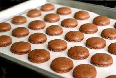 Pâtisserie Perfection: French Macarons with Chef Jacob Wright - 05/24/2026 Photo