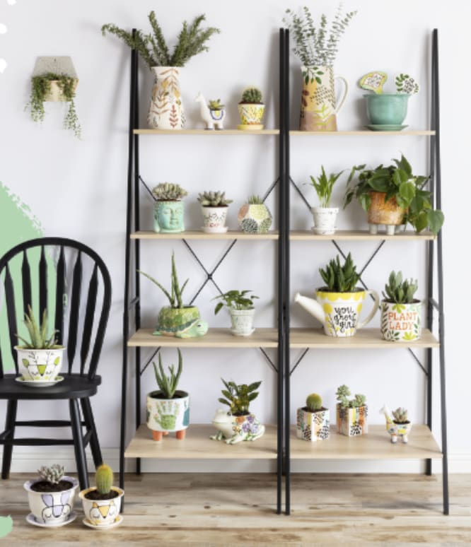 Paint your Pot | May 16th & 17th 4-6pm Photo