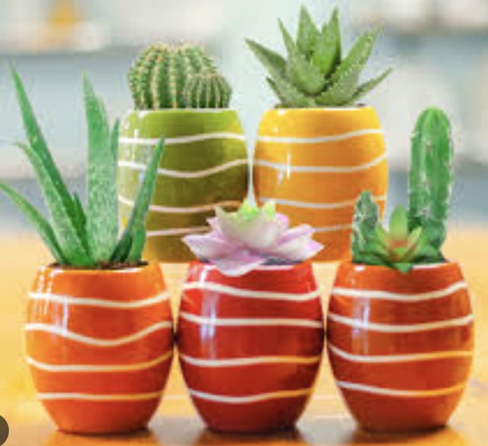Paint your Pot | May 16th & 17th 4-6pm Photo