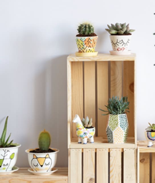 Paint your Pot | May 16th & 17th 4-6pm Photo