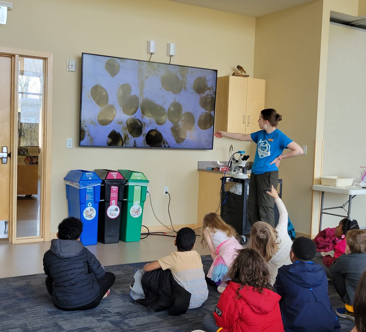 Pond Observation & Clay Creation at Springbrook Photo