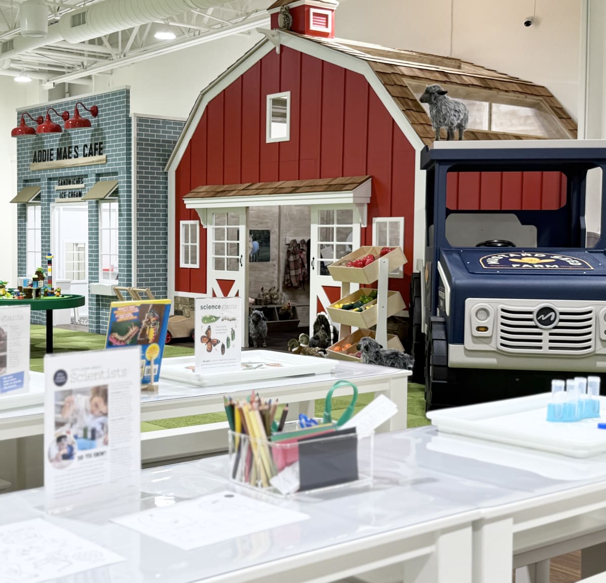 PLAYTIME BY RESERVATION  - PLAY STREET MUSEUM FAIRFAX Photo