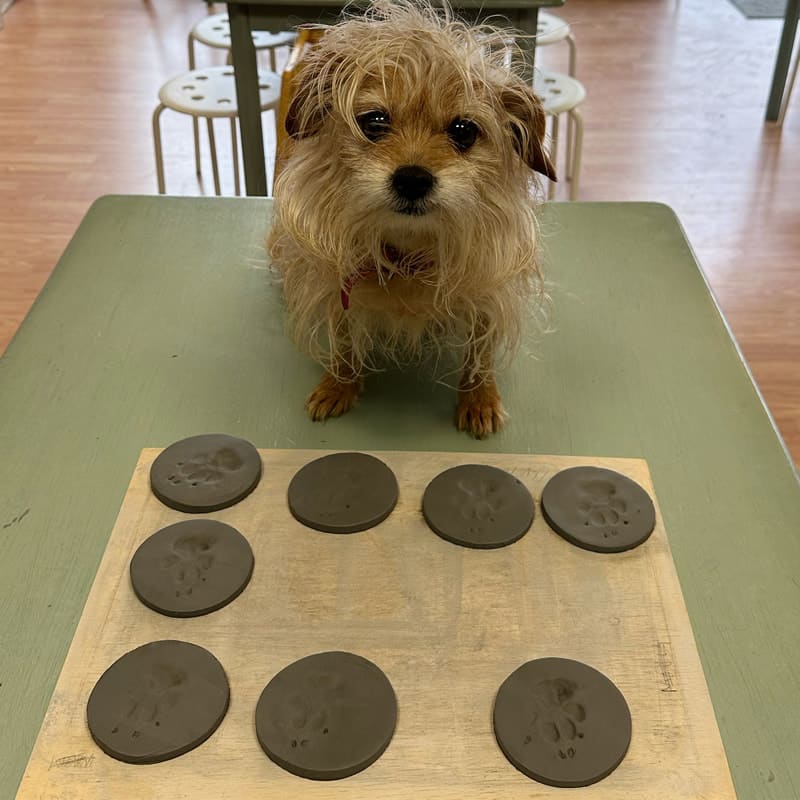 Pups & Patios | Clay Prints 🐾 | Sun, June 14th 1-4pm Photo