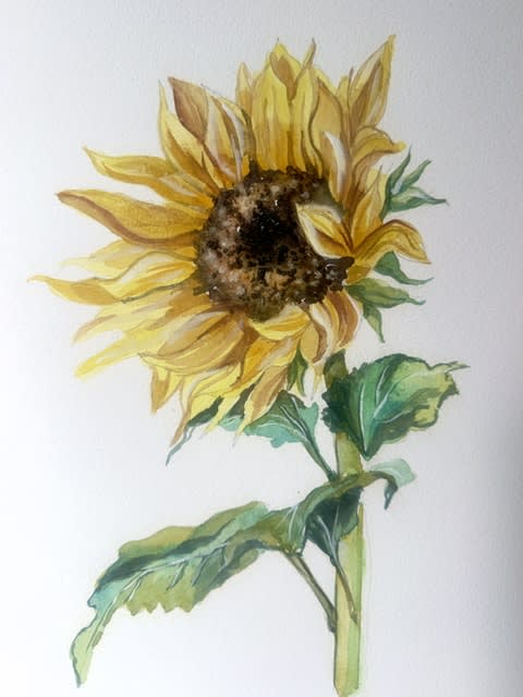 The Fun & Fundamental of Watercolor: Sun Flower Themed (Beginner Friendly, Adults & 15+) at That Creative Space in Beacon, NY Photo
