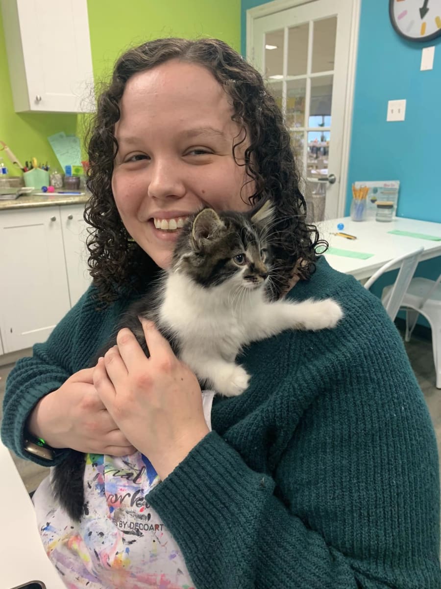 Painting with Kittens - SPCA Fundraiser Photo