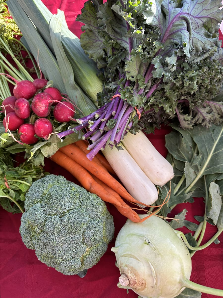 Seasonal Market Basket Surprise Photo
