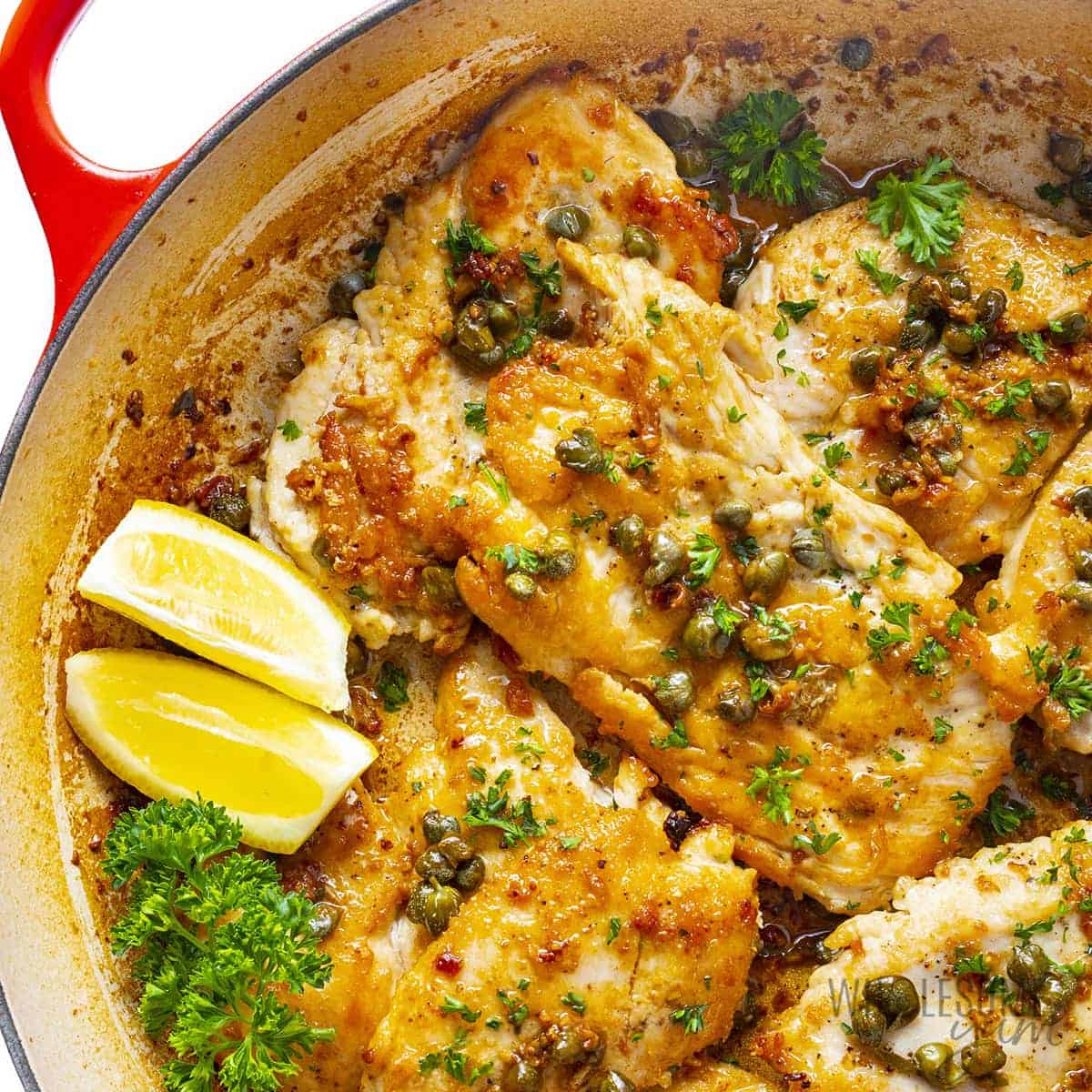 Italian Favorites: Classic Chicken Piccata - 09/08/2026 Photo