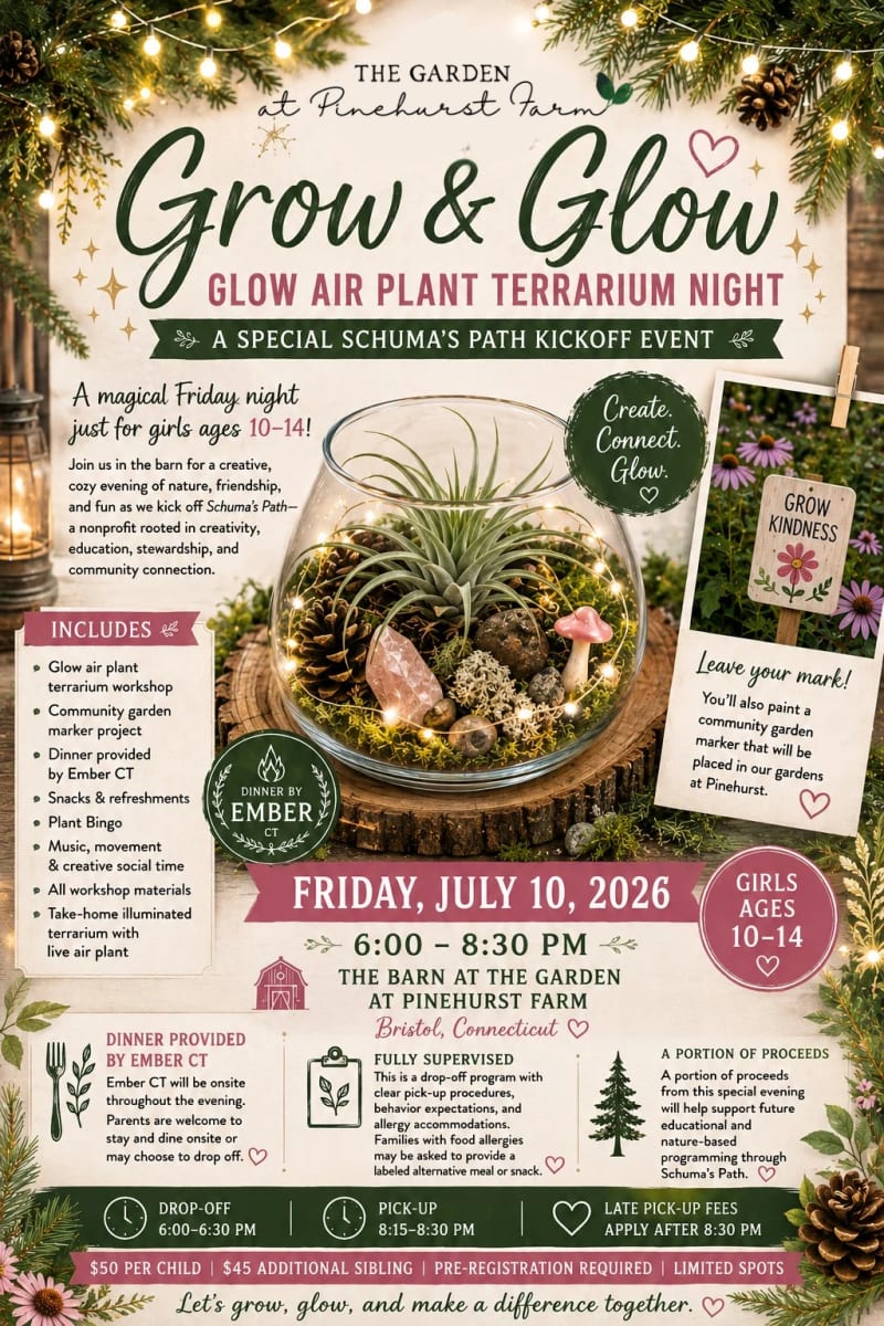 Grow & Glow: Glow Air Plant Terrarium Night Photo